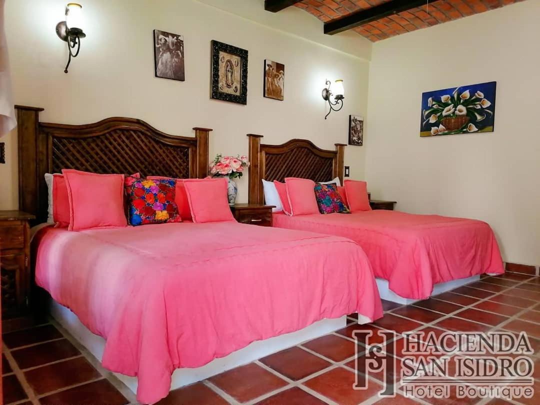 Hotel Hacienda San Isidro San Isidro Mazatepec Zewnętrze zdjęcie